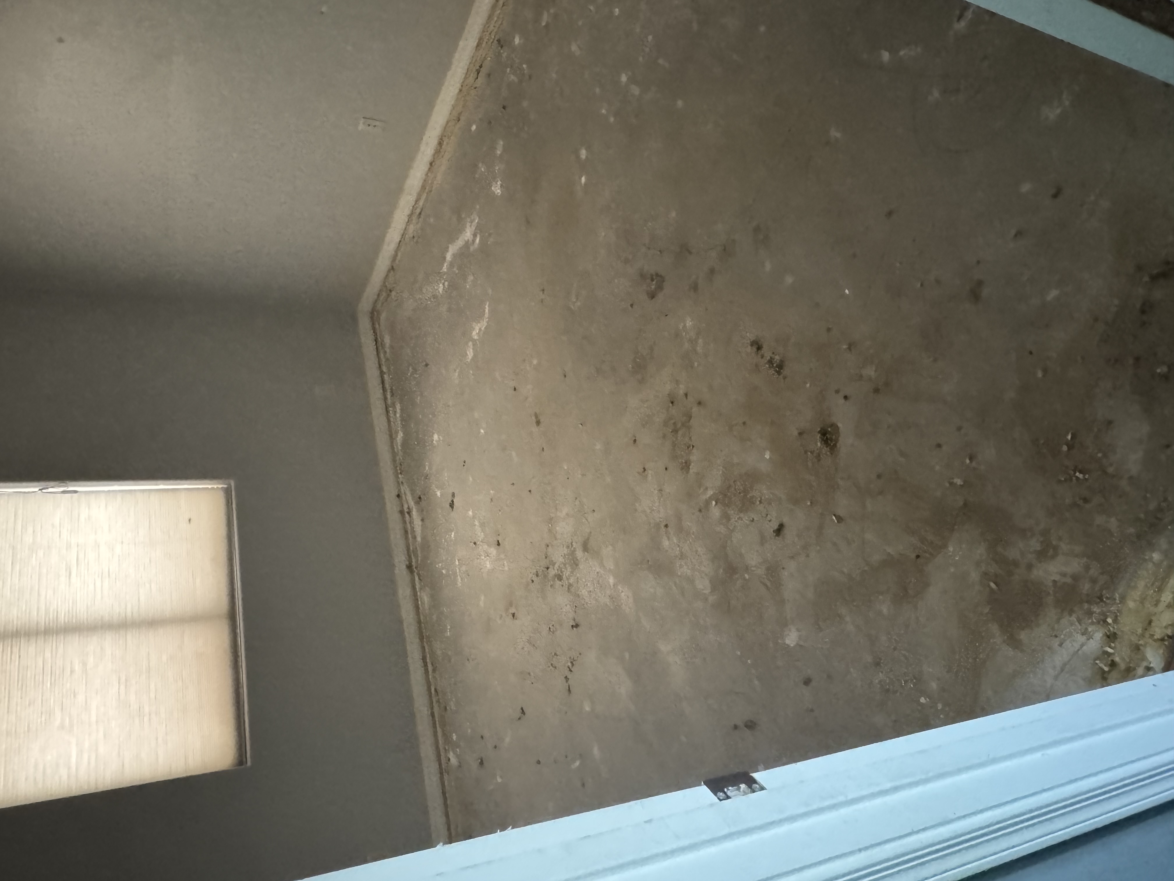 Clean estate interior after cleanout