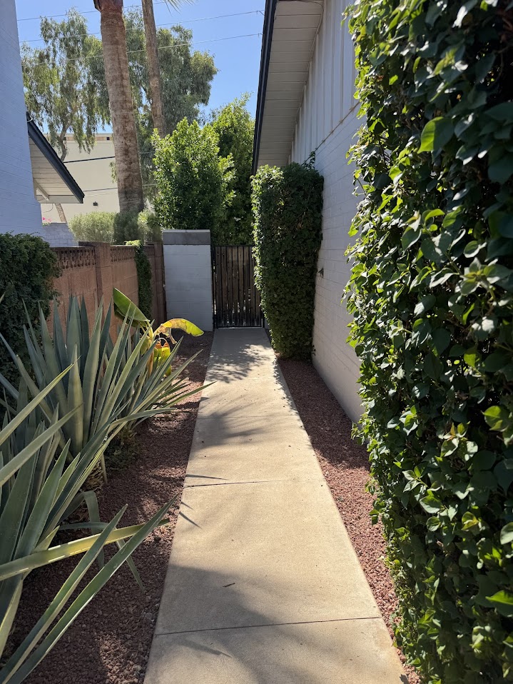 Clean and well-maintained side yard after debris removal